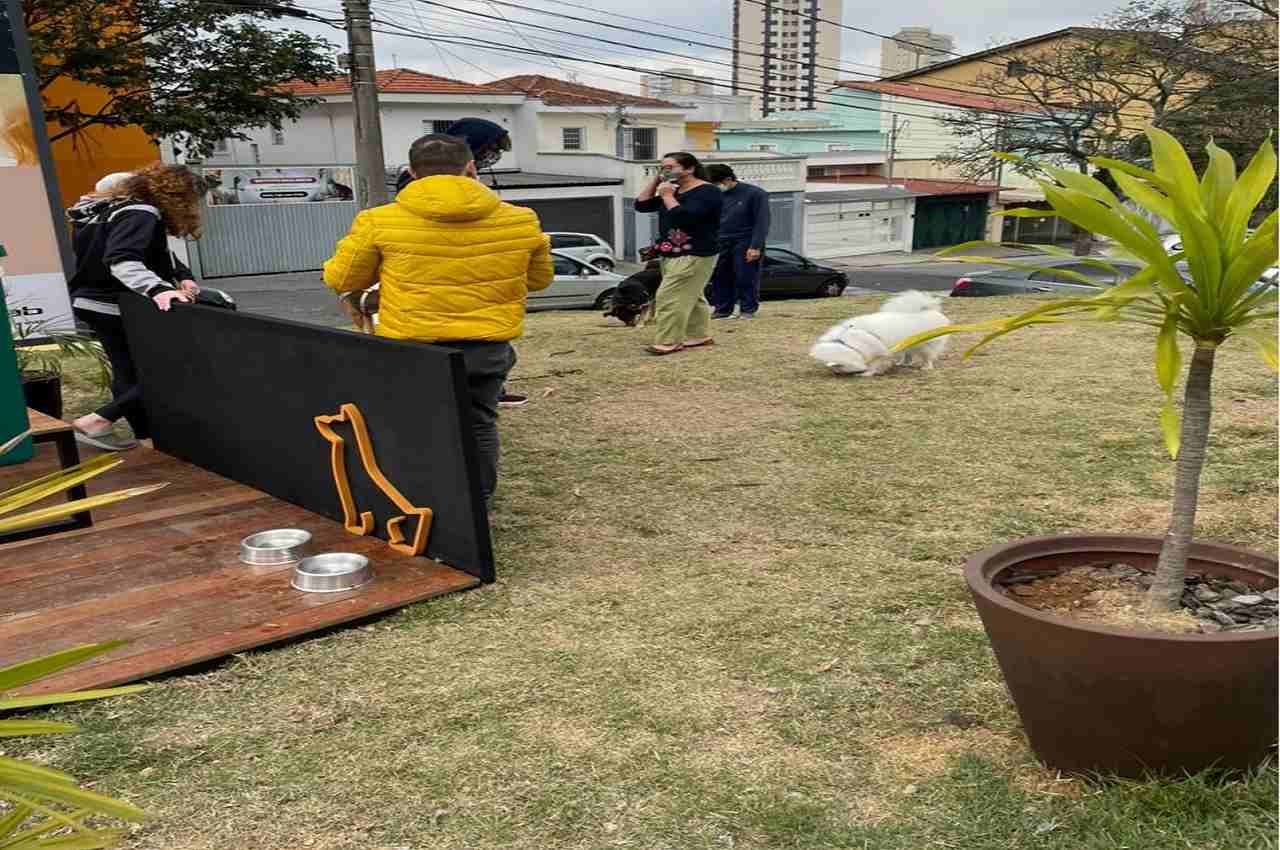 tarjab investe em ações de gentileza urbana