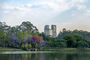 parque ibirapuera